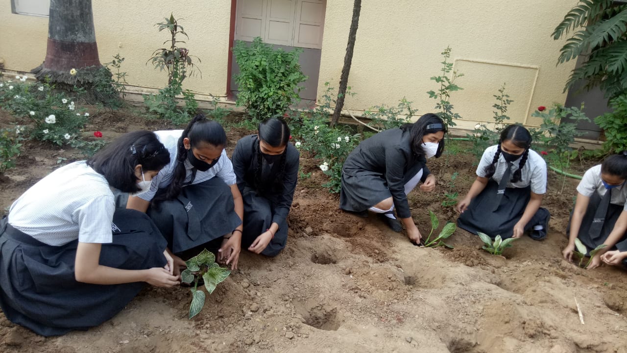 STD 9 Supw Plantation